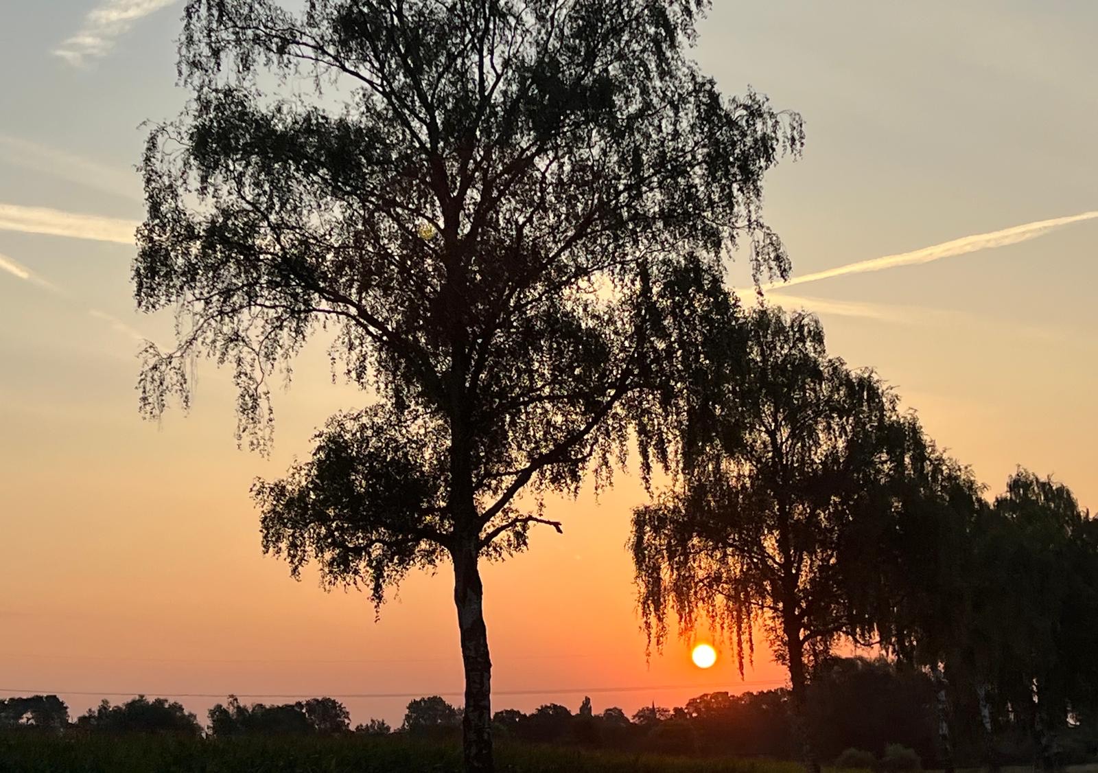 Sonnenaufgang W+F I in Versmold